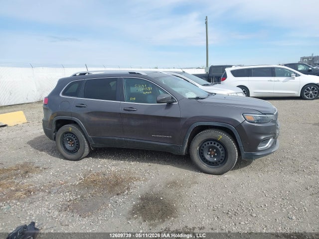 Jeep Cherokee Limited 2020 1C4PJMDN0LD582865 Image 12