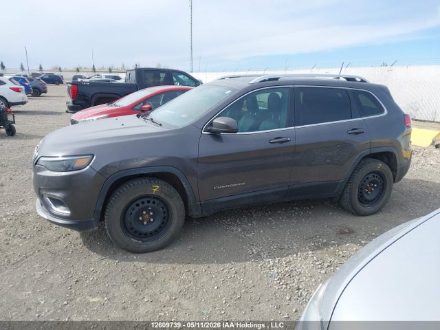 Jeep Cherokee Limited 2020 1C4PJMDN0LD582865 Image 13