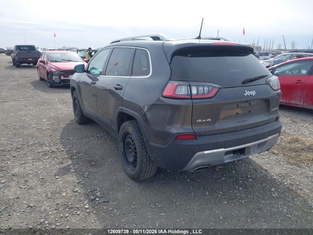 Jeep Cherokee Limited 2020 1C4PJMDN0LD582865 Image 3
