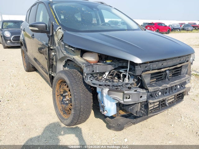 Ford Escape Titanium 2017 1FMCU9J96HUD80013 Image 6