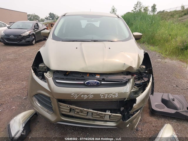 12649302 :رقم المزاد ، 1FMCU0GX1DUD26968 vin ، 2013 Ford Escape Se مزاد بيع