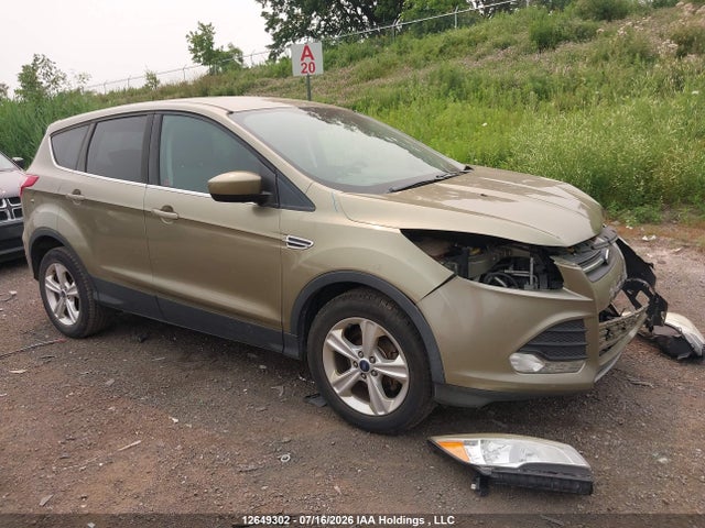 12649302 :رقم المزاد ، 1FMCU0GX1DUD26968 vin ، 2013 Ford Escape Se مزاد بيع