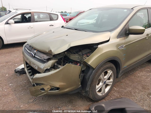 12649302 :رقم المزاد ، 1FMCU0GX1DUD26968 vin ، 2013 Ford Escape Se مزاد بيع