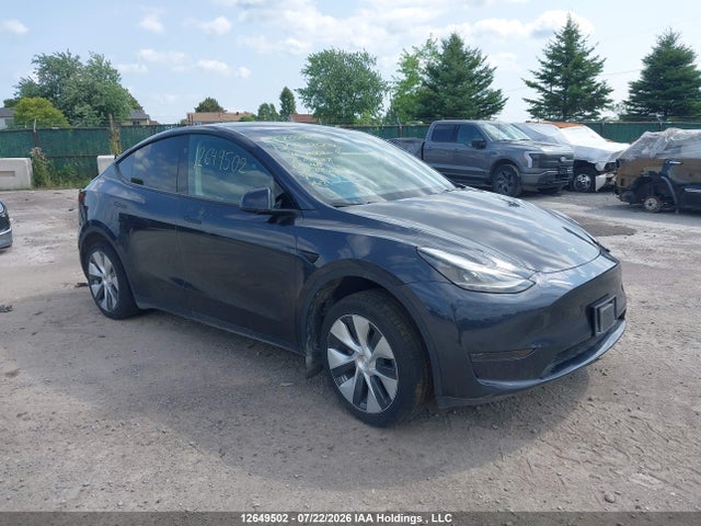 Auction sale of the 2024 Tesla Model Y, vin: 7SAYGDED6RF034317, lot number: 12649502