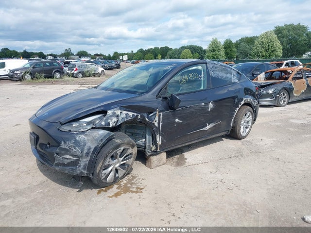 Aukcja sprzedaży 2024 Tesla Model Y, vin: 7SAYGDED6RF034317, numer aukcji: 12649502