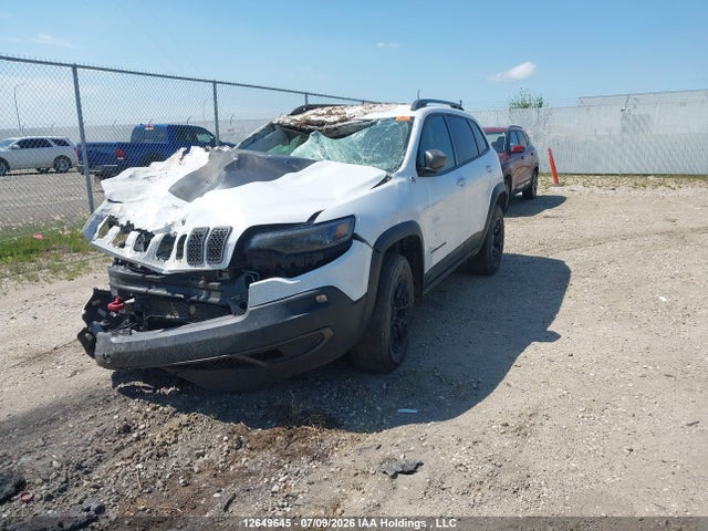 Jeep Cherokee Trailhawk 2020 1C4PJMBX5LD656558 Image 2