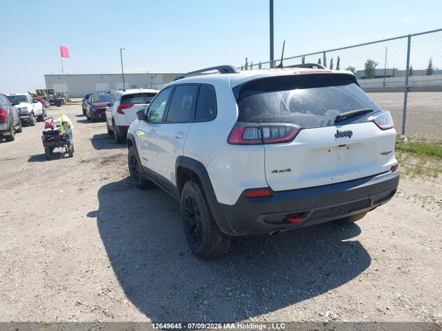 Jeep Cherokee Trailhawk 2020 1C4PJMBX5LD656558 Image 3