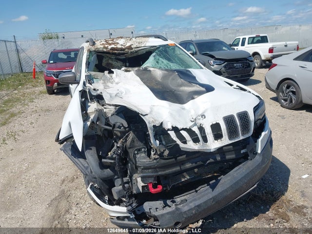 Jeep Cherokee Trailhawk 2020 1C4PJMBX5LD656558 Image 6