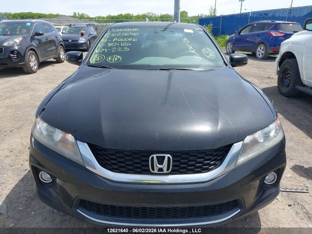 Honda ACCORD EX 2014 1HGCT1B71EA801124 Image 13