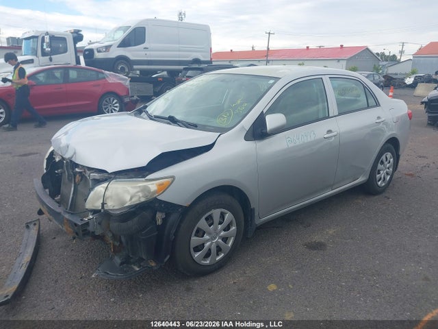 2010 Toyota Corolla Ce მანქანა იყიდება აუქციონზე, vin: 2T1BU4EE8AC242647, აუქციონის ნომერი: 12640443