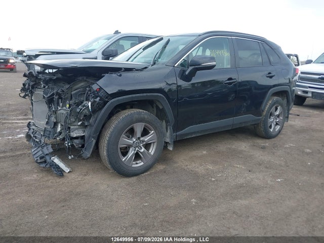 Toyota Rav4 Xle 2024 2T3R1RFV0RC397344 Image 2