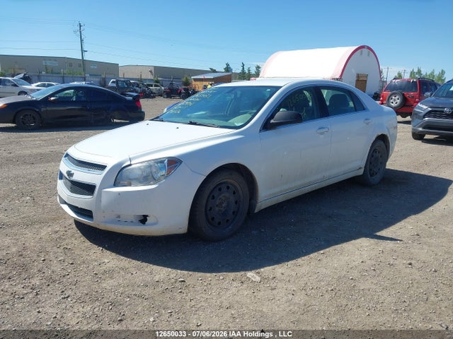 2011 Chevrolet Malibu Ls მანქანა იყიდება აუქციონზე, vin: 1G1ZB5EU4BF218302, აუქციონის ნომერი: 12650033