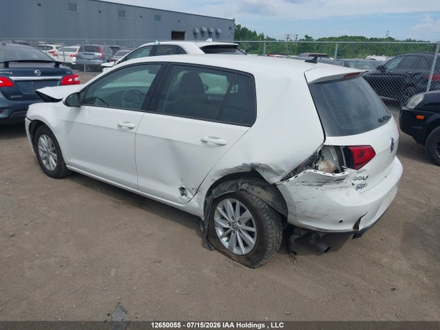 3VW217AUXGM051106 Volkswagen Golf S/se/sel