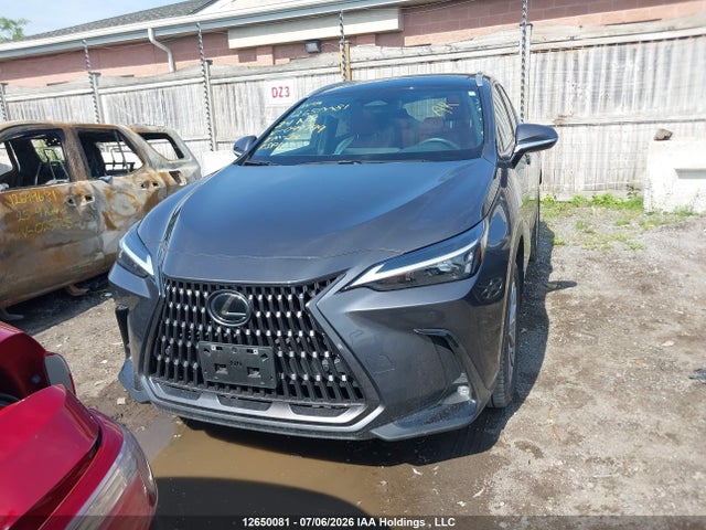 Lexus NX 350 2024 2T2GGCEZ6RC049799 Image 13