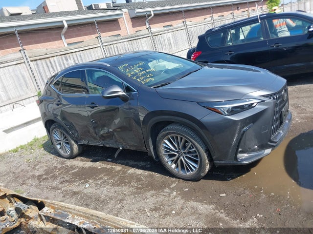 Lexus NX 350 2024 2T2GGCEZ6RC049799 Image 14