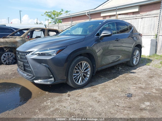 Lexus NX 350 2024 2T2GGCEZ6RC049799 Image 2