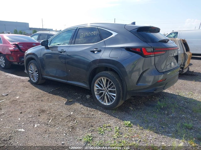 Lexus NX 350 2024 2T2GGCEZ6RC049799 Image 3
