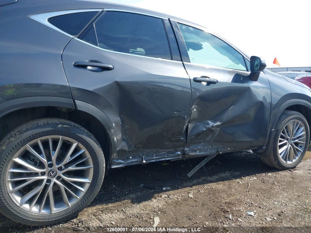 Lexus NX 350 2024 2T2GGCEZ6RC049799 Image 6