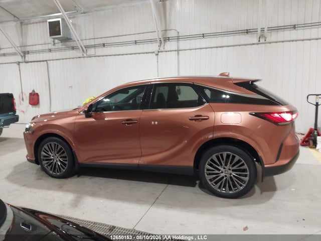 2023 Lexus Rx 350 მანქანა იყიდება აუქციონზე, vin: 2T2BAMCA1PC007195, აუქციონის ნომერი: 12650153