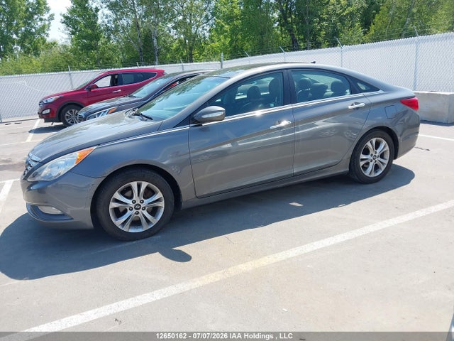 12650162 :رقم المزاد ، 5NPEC4AC7DH559020 vin ، 2013 Hyundai Sonata مزاد بيع