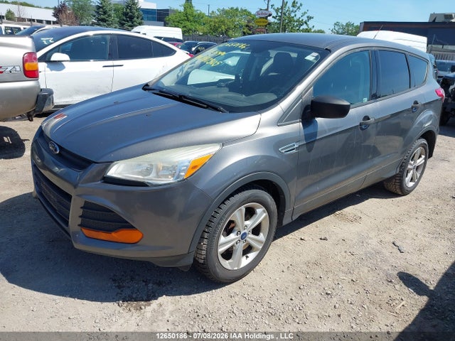 Ford Escape 2014 1FMCU0F79EUB87305 Image 2