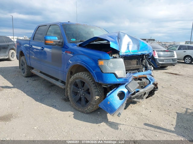 Auction sale of the 2013 Ford F-150 Fx4/king Ranch/lariat/limited/platinum/xlt, vin: 1FTFW1ET1DFA76184, lot number: 12650251