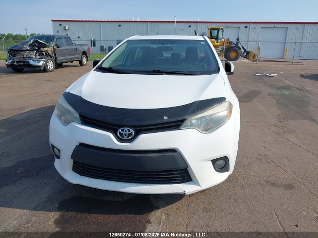 12650274 :رقم المزاد ، 2T1BURHE5EC134730 vin ، 2014 Toyota Corolla Le مزاد بيع