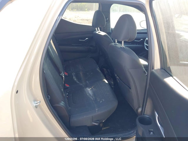 12650296 :رقم المزاد ، 5NTJCDDF7RH102446 vin ، 2024 Hyundai Santa Cruz Preferred مزاد بيع