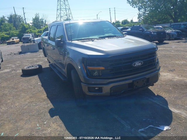 12650303 :رقم المزاد ، 1FTFW3LDXRFB33562 vin ، 2024 Ford F-150 Xlt مزاد بيع