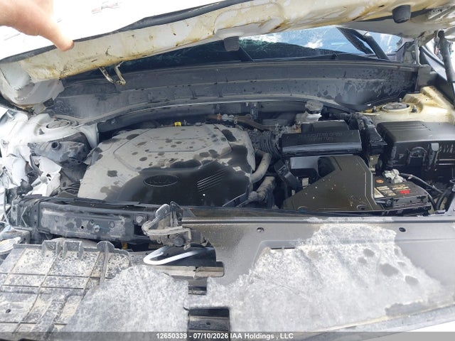 12650339 :رقم المزاد ، 5XYP5DHC3MG149640 vin ، 2021 Kia Telluride Nightsky/sx/sx Limited مزاد بيع