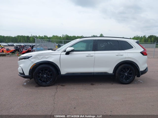 Продаж на аукціоні авто 2024 Honda Cr-v Sport, vin: 2HKRS4H5XRH107422, номер лоту: 12650408