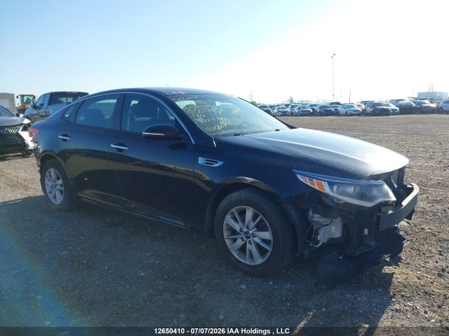 Продаж на аукціоні авто 2016 Kia Optima Lx/lx+, vin: 5XXGT4L38GG051712, номер лоту: 12650410