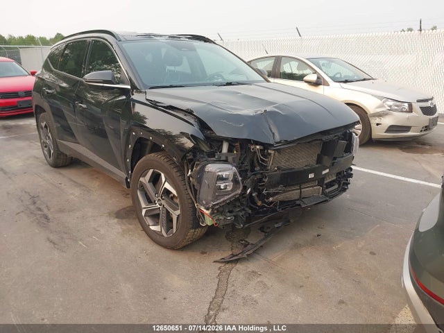 Auction sale of the 2023 Hyundai Tucson Ultimate Hybrid Awd, vin: KM8JCCA13PU110625, lot number: 12650651