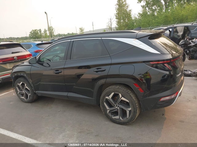 Продаж на аукціоні авто 2023 Hyundai Tucson Ultimate Hybrid Awd, vin: KM8JCCA13PU110625, номер лоту: 12650651