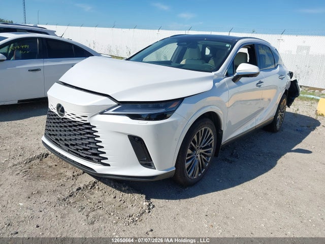 Продаж на аукціоні авто 2026 Lexus Rx 350, vin: 2T2BAMCA7TC130168, номер лоту: 12650664