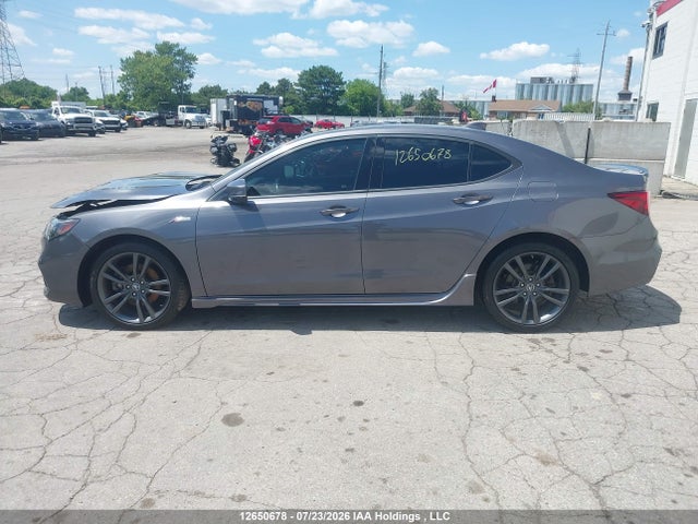 19UUB3F88LA800619 Acura Tlx Advance/pmc Edition