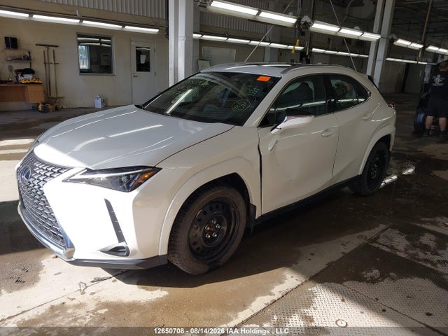 JTHUCJDH4S2007795 Lexus Ux 300h
