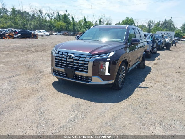 Hyundai Palisade Ultimate Calligraphy 2025 KM8R5DGE8SU849902 Image 2