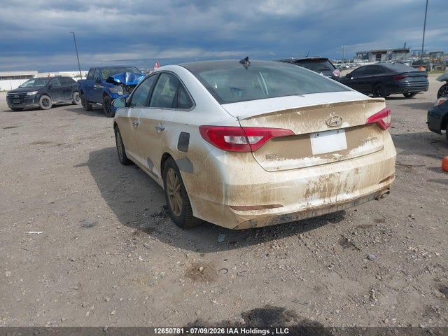 Hyundai Sonata 2017 5NPE24AF6HH534659 Image 3