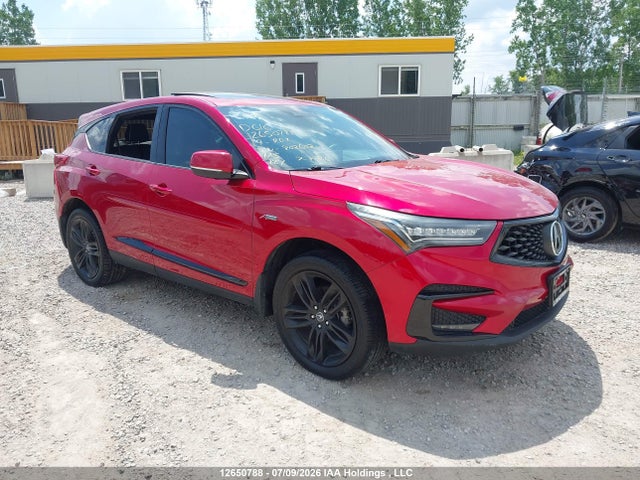 Auction sale of the 2019 Acura Rdx A-spec, vin: 5J8TC2H6XKL802602, lot number: 12650788