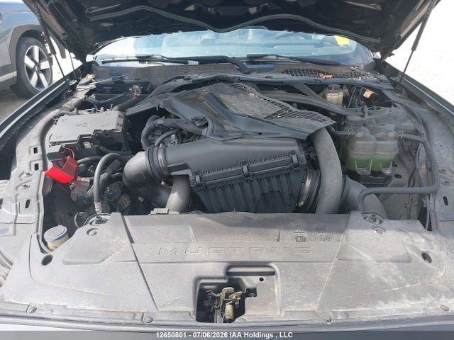 12650801 :رقم المزاد ، 1FAGP8UH8S5108550 vin ، 2025 Ford Mustang Ecoboost Premium مزاد بيع