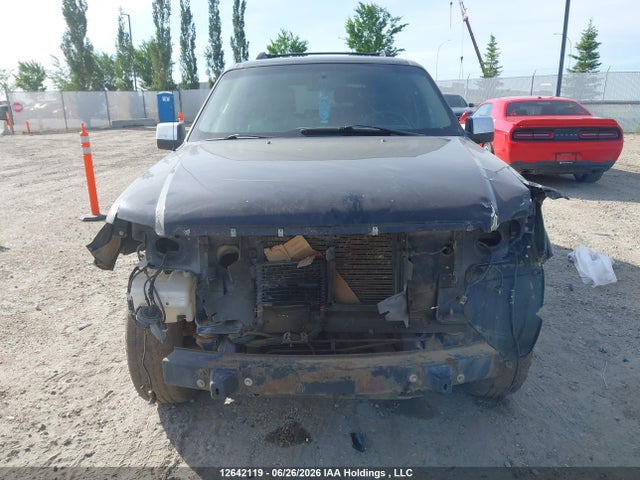 Продаж на аукціоні авто 2007 Ford Explorer Limited, vin: 1FMEU75867UA45105, номер лоту: 12642119