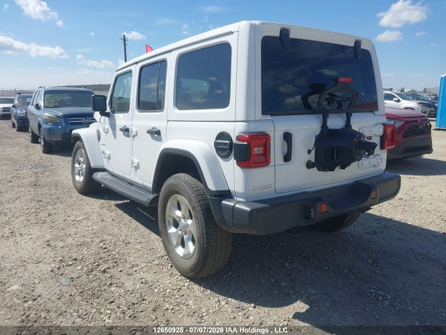 Продаж на аукціоні авто 2020 Jeep Wrangler Unlimited Sahara, vin: 1C4HJXEN5LW339559, номер лоту: 12650925