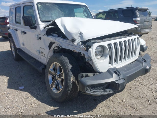 Продаж на аукціоні авто 2020 Jeep Wrangler Unlimited Sahara, vin: 1C4HJXEN5LW339559, номер лоту: 12650925