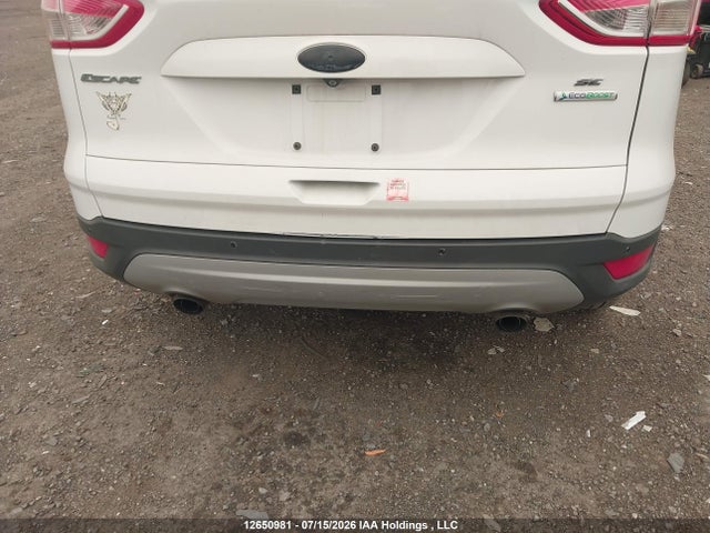Ford ESCAPE SE 2014 1FMCU0G95EUE15820 Image 6