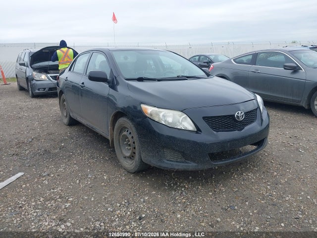 12650990 :رقم المزاد ، 2T1BU4EE5AC249829 vin ، 2010 Toyota Corolla S/le/xle مزاد بيع