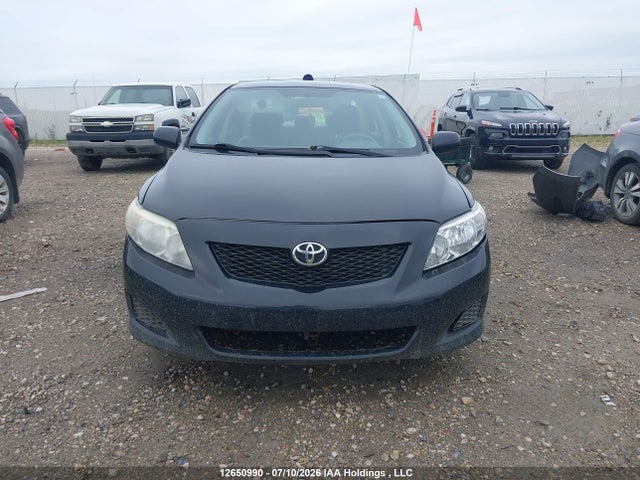 12650990 :رقم المزاد ، 2T1BU4EE5AC249829 vin ، 2010 Toyota Corolla S/le/xle مزاد بيع