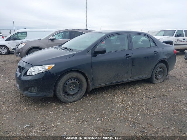 12650990 :رقم المزاد ، 2T1BU4EE5AC249829 vin ، 2010 Toyota Corolla S/le/xle مزاد بيع