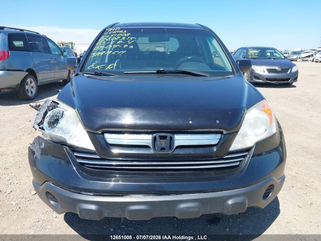2009 Honda Cr-v Exl მანქანა იყიდება აუქციონზე, vin: 5J6RE48729L802315, აუქციონის ნომერი: 12651008