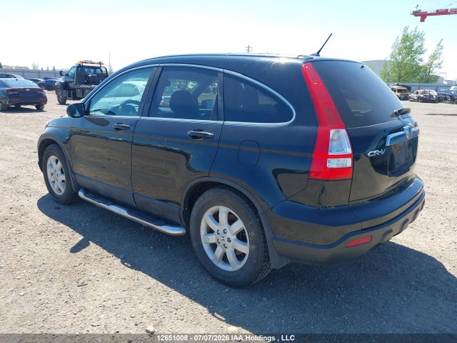 2009 Honda Cr-v Exl მანქანა იყიდება აუქციონზე, vin: 5J6RE48729L802315, აუქციონის ნომერი: 12651008